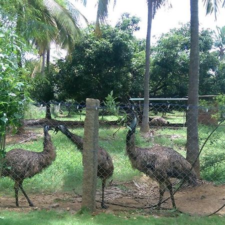 Mango Village Farm House Nelliyampathy Exteriér fotografie